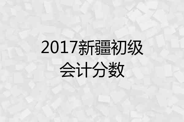 2017新疆初级会计分数