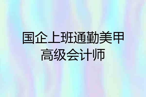 国企上班通勤美甲高级会计师