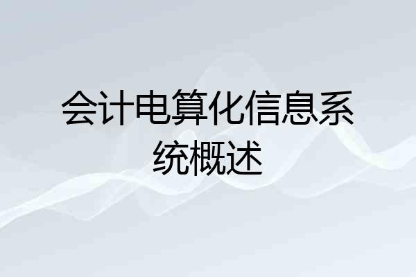 会计电算化信息系统概述