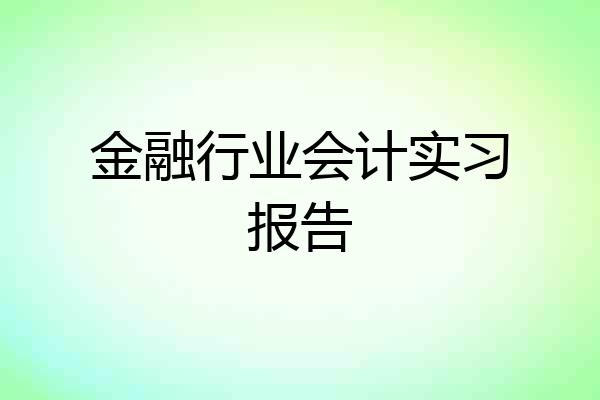 金融行业会计实习报告