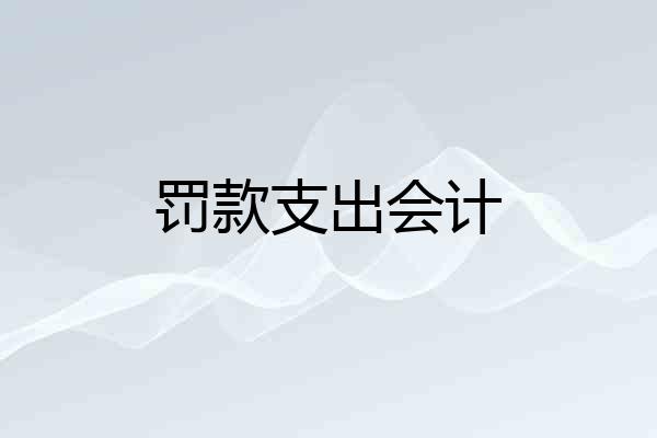 罚款支出会计