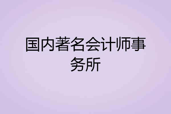 国内著名会计师事务所