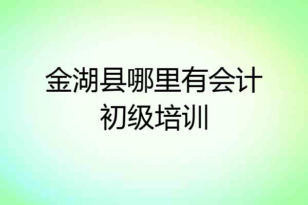 金湖县哪里有会计初级培训
