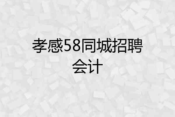 孝感58同城招聘会计