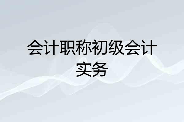 会计职称初级会计实务