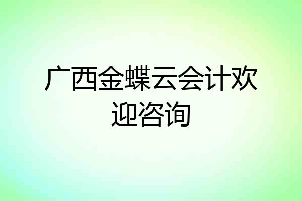 广西金蝶云会计欢迎咨询