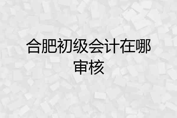 合肥初级会计在哪审核