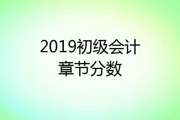 2019初级会计章节分数