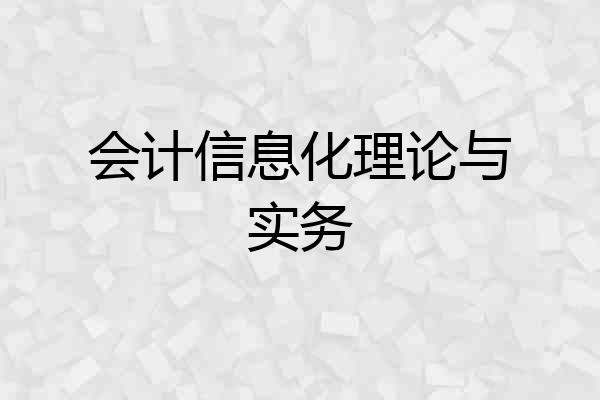 会计信息化理论与实务