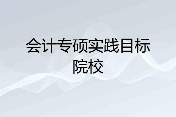 会计专硕实践目标院校