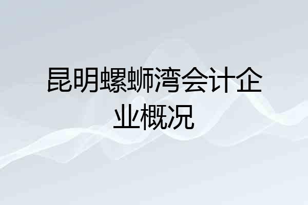 昆明螺蛳湾会计企业概况