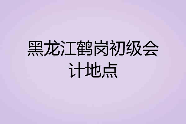 黑龙江鹤岗初级会计地点