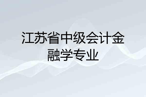江苏省中级会计金融学专业
