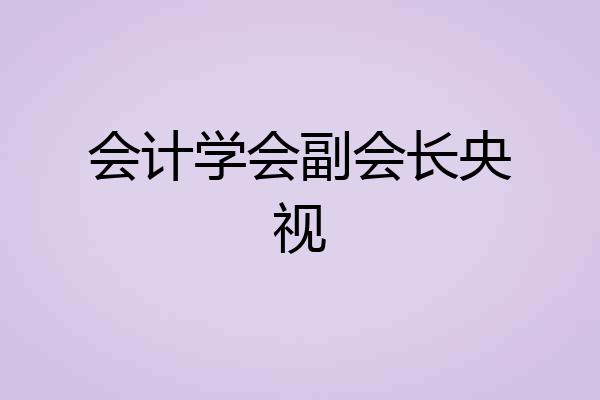 会计学会副会长央视