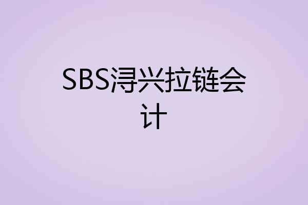 SBS浔兴拉链会计