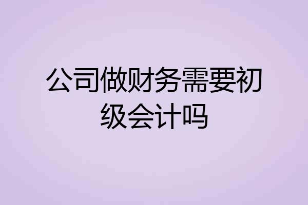 公司做财务需要初级会计吗