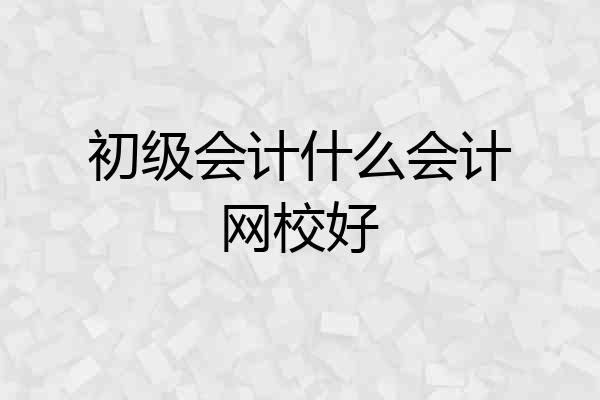 初级会计什么会计网校好