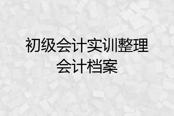 初级会计实训整理会计档案