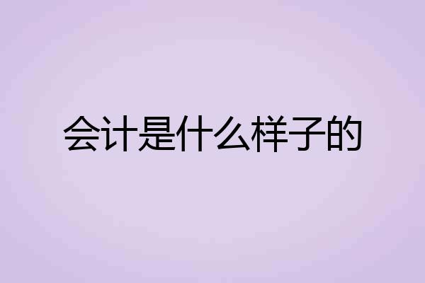 会计是什么样子的