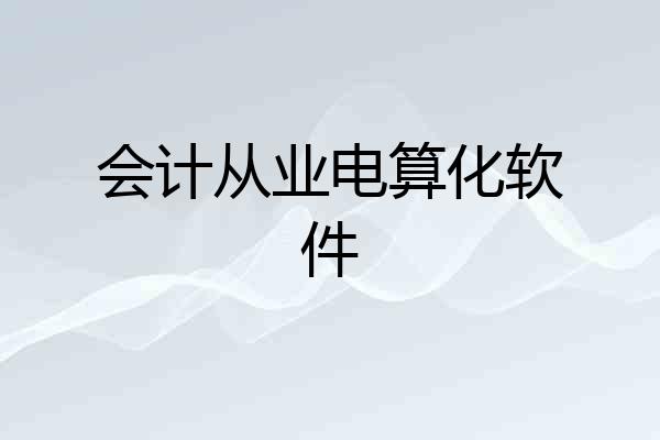 会计从业电算化软件