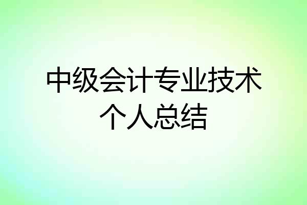 中级会计专业技术个人总结