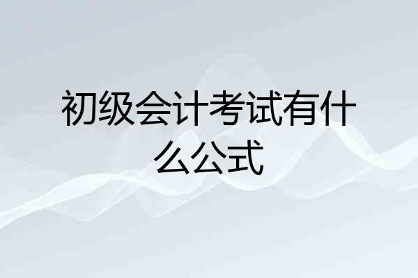 初级会计考试有什么公式