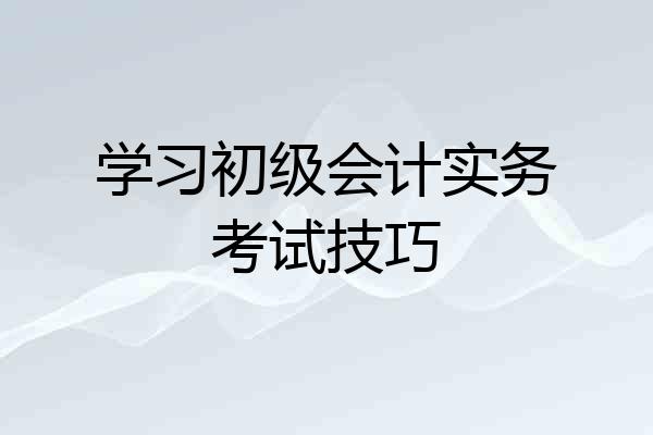 学习初级会计实务考试技巧