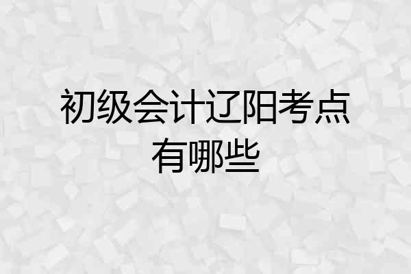 初级会计辽阳考点有哪些