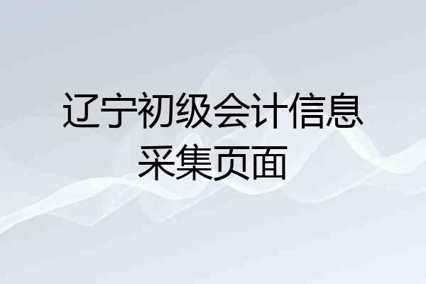 辽宁初级会计信息采集页面