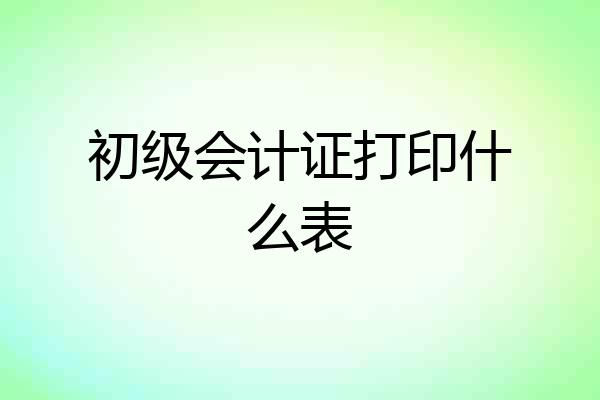 初级会计证打印什么表