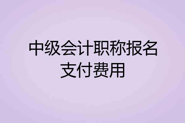 中级会计职称报名支付费用