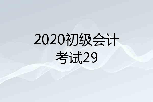 2020初级会计考试29