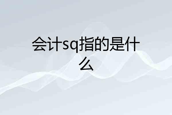 会计sq指的是什么