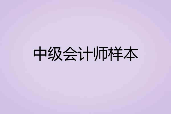 中级会计师样本