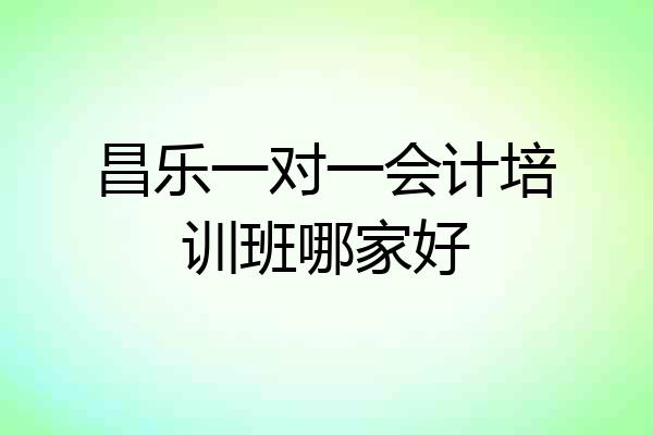 昌乐一对一会计培训班哪家好