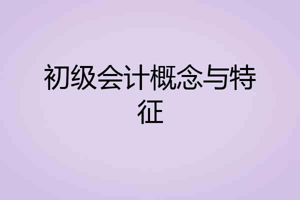 初级会计概念与特征