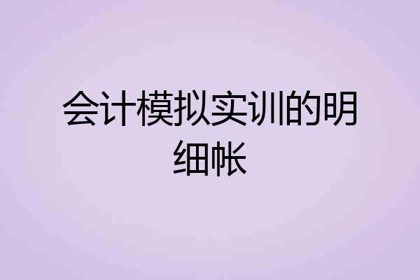 会计模拟实训的明细帐