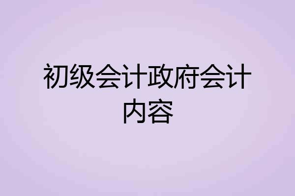 初级会计政府会计内容