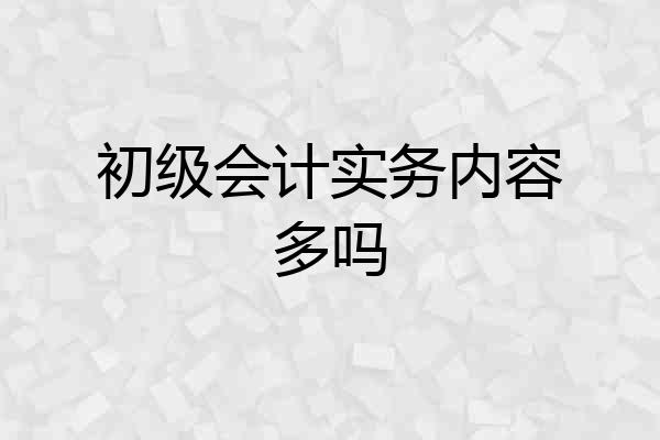 初级会计实务内容多吗