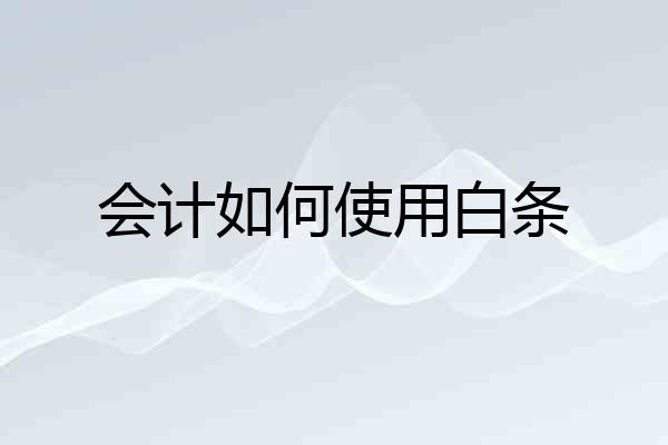 会计如何使用白条