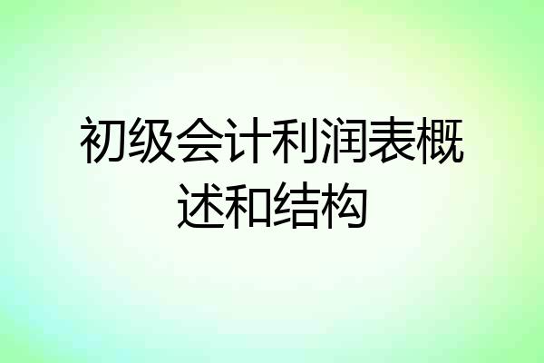 初级会计利润表概述和结构