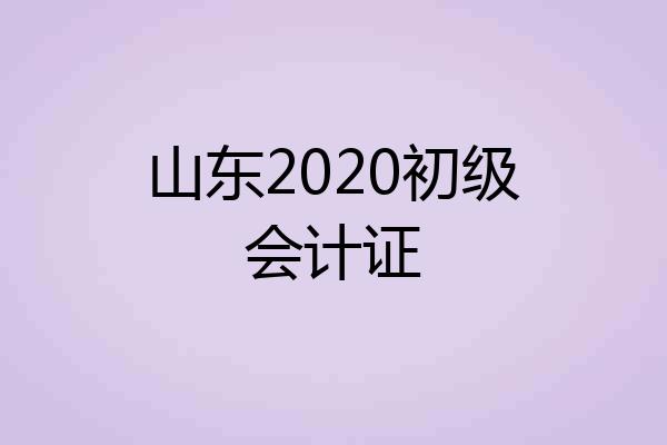 山东2020初级会计证