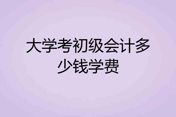 大学考初级会计多少钱学费