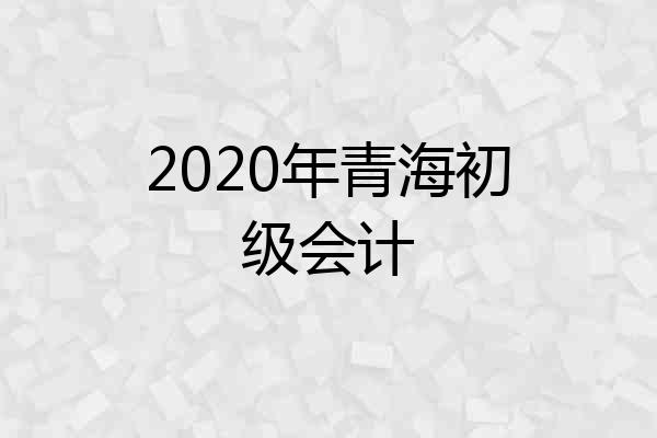 2020年青海初级会计