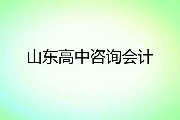 山东高中咨询会计