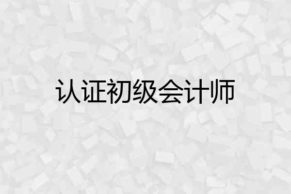 认证初级会计师