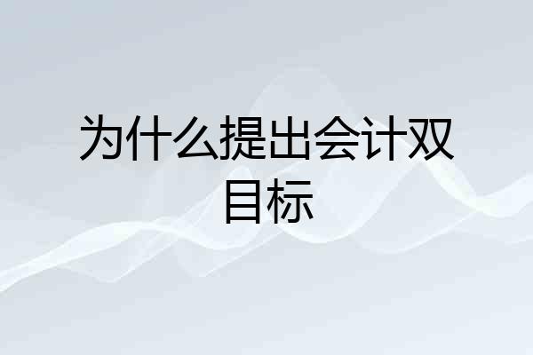 为什么提出会计双目标