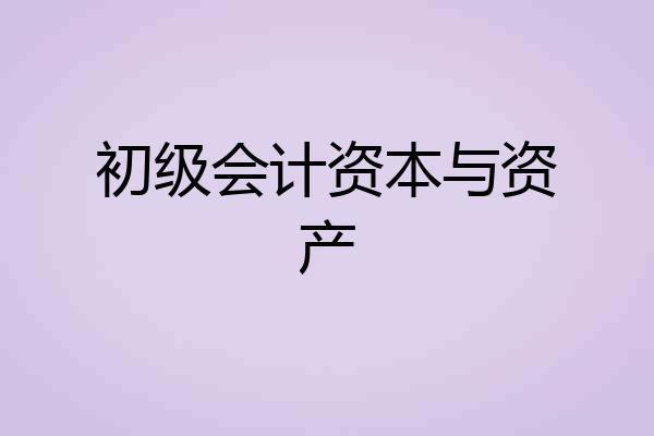 初级会计资本与资产