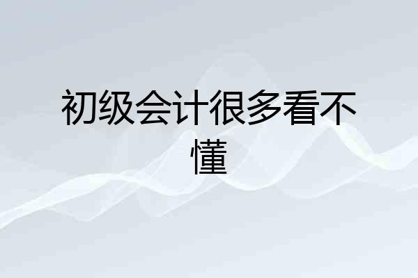 初级会计很多看不懂
