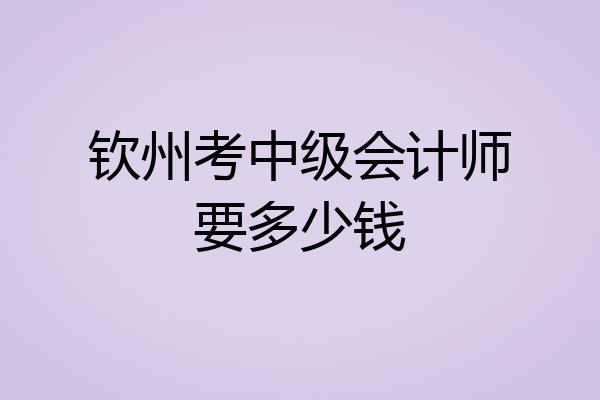 钦州考中级会计师要多少钱